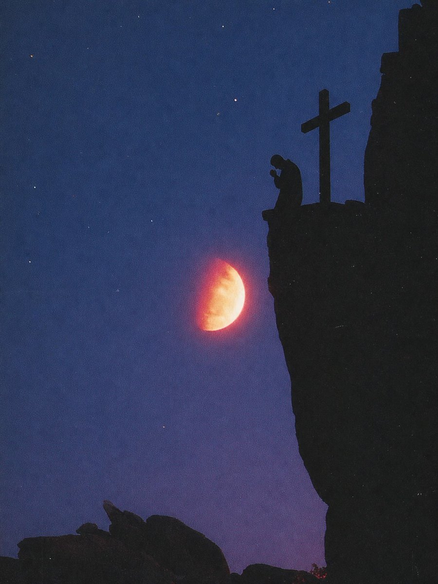 Diosyfeesp's tweet photo. 📖 "Así mismo, en nuestra debilidad el Espíritu acude a ayudarnos. No sabemos qué pedir, pero el Espíritu mismo intercede por nosotros con gemidos que no pueden expresarse con palabras."

Romanos 8:26 ✝️ https://t.co/SFOkIiBCz2
