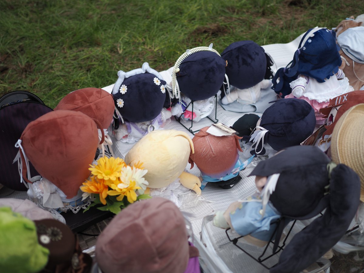 icmcawolu's tweet photo. ぬいの後頭部が並んでるのめっちゃいいなって撮ったやつ

#MSCフォトセッション
#もちほわがいっぱい見れるタグ https://t.co/RRyWlHr5L6