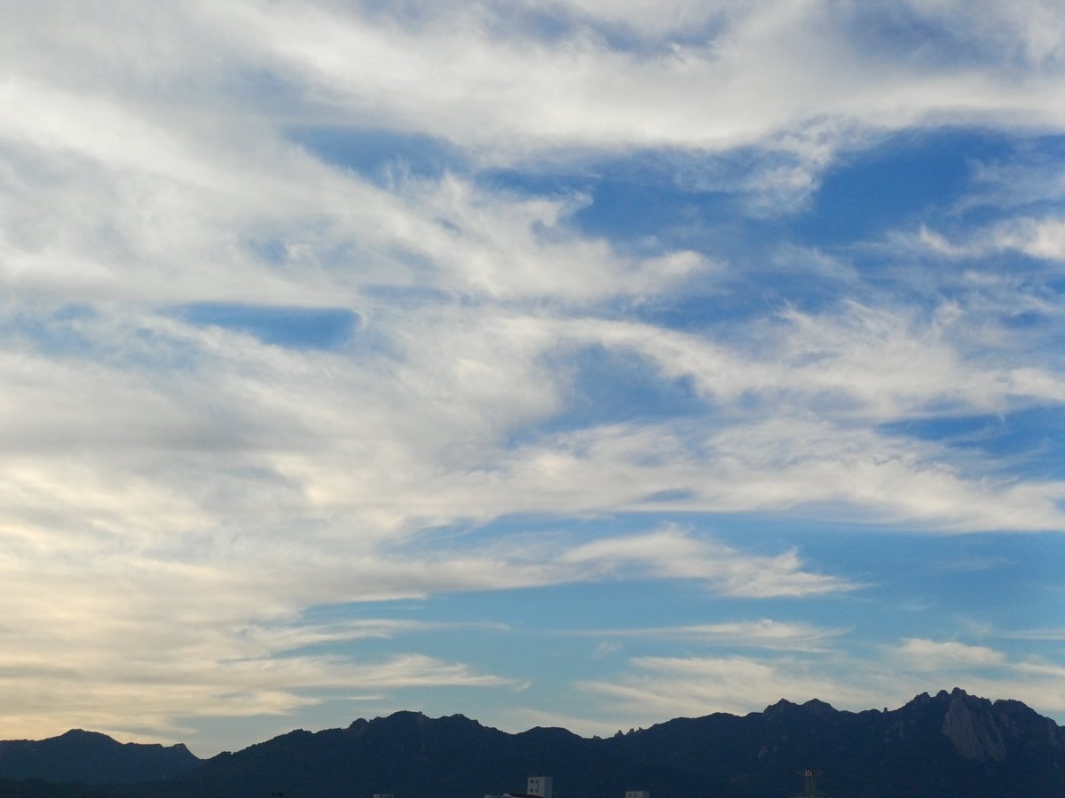 dir_lim tweet picture