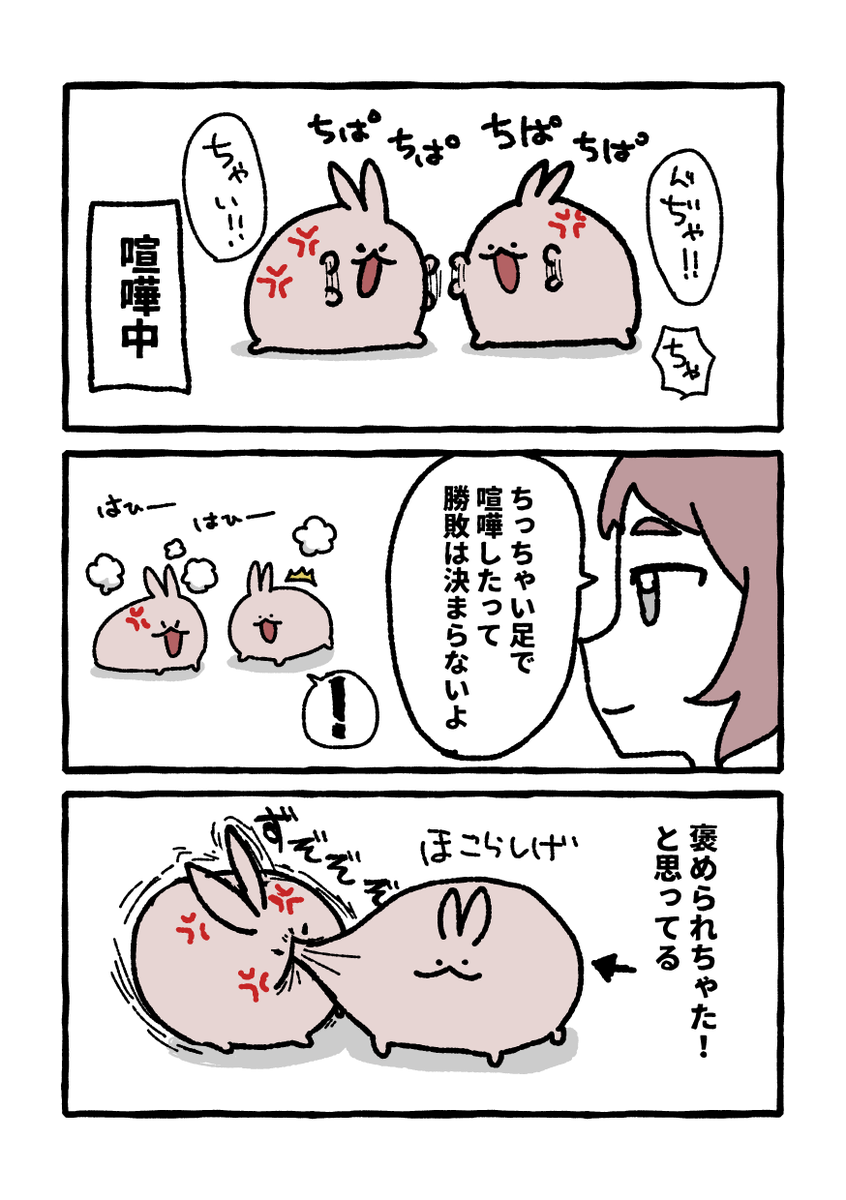 ttt__g_m's tweet photo. https://t.co/PnkVJAIJqh