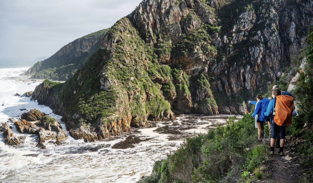 HelloGRoute's tweet photo. 🥾 42km. 5 days. One unforgettable adventure. 🌊🌿
Hiking South Africa's legendary #OtterTrail? Turn your hike into a #GardenRoute holiday! 🇿🇦
🏡 Accommodation | 🚗 Car Hire | 🌿 Tours | 🚌 Transfers
👇
https://t.co/0xSyZe284p
#Tsitsikamma #HelloGardenRoute https://t.co/AZ8nOO5liW