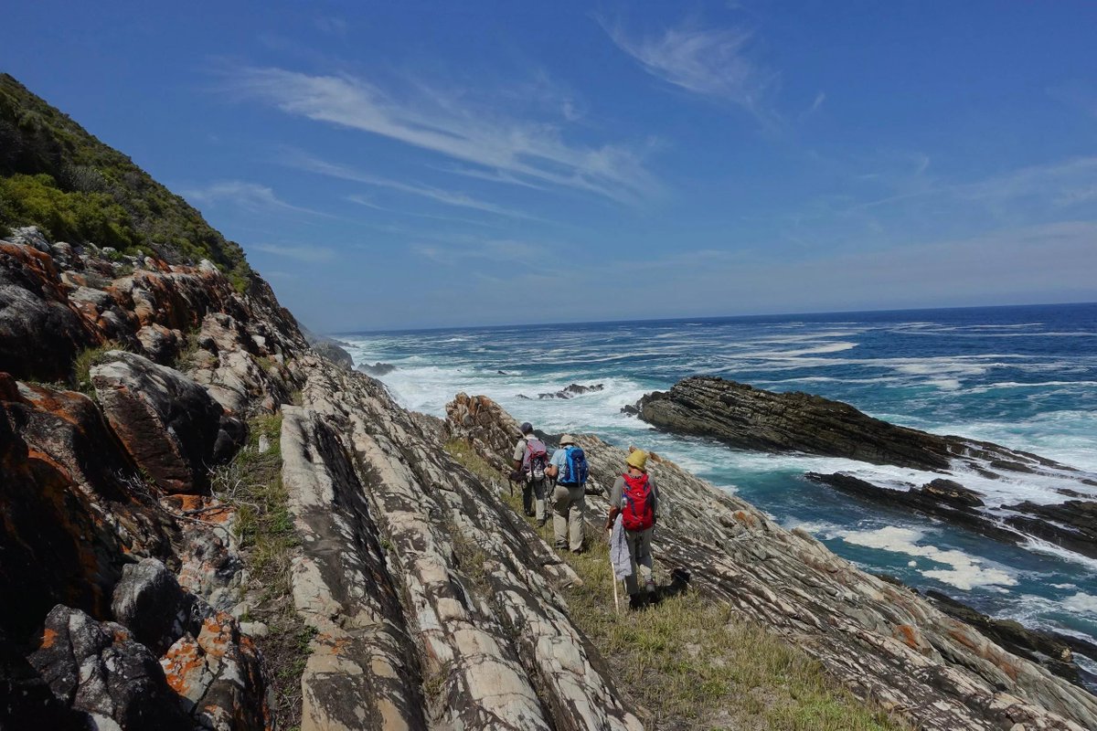 HelloGRoute's tweet photo. 🥾 42km. 5 days. One unforgettable adventure. 🌊🌿
Hiking South Africa's legendary #OtterTrail? Turn your hike into a #GardenRoute holiday! 🇿🇦
🏡 Accommodation | 🚗 Car Hire | 🌿 Tours | 🚌 Transfers
👇
https://t.co/0xSyZe284p
#Tsitsikamma #HelloGardenRoute https://t.co/AZ8nOO5liW