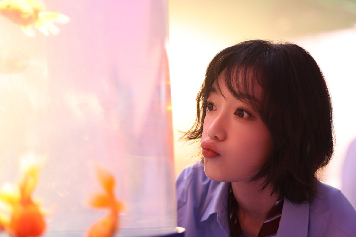 SweetMoonCurley's tweet photo. Xilin's Studio update 

A dose of cuteness coming your way 🥰

#CurleyGao
#希林娜依高 https://t.co/VsQuy5st0S