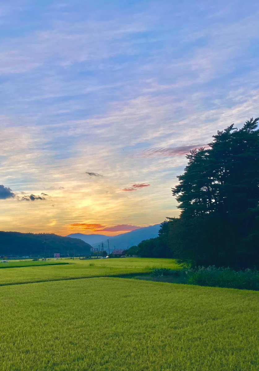 tonomuseum's tweet photo. 秋の風景 https://t.co/fS3ihlZ0Zk
