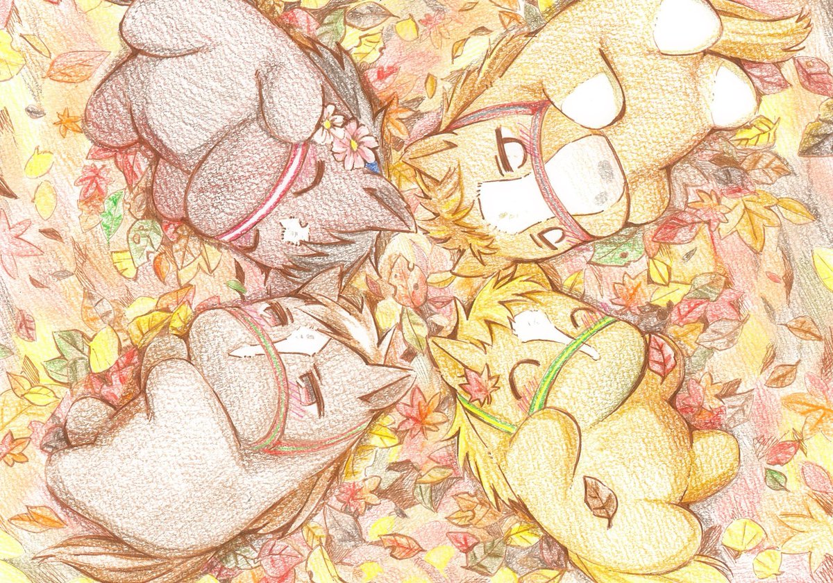 minato_ouma's tweet photo. 枯葉とAERUカルテット🍁
 #ナカヤマフェスタ
 #オウケンブルースリ
 #マイネルキッツ
 #スズカフェニックス https://t.co/HcOKNT0Rez