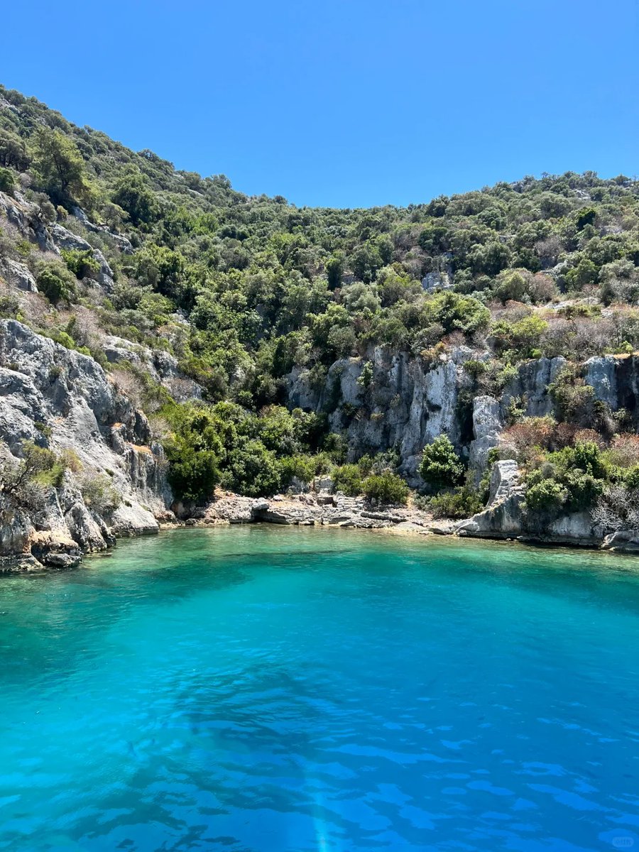 DerickRaynyva's tweet photo. Un viaje corto a la playa de la costa este, sol suave y mar azul claro, día perfecto para desconectar! https://t.co/8RPQ3KWZfX