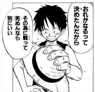 pensuke0hassy's tweet photo. ルフィも後先なんも考えてない https://t.co/DwjfTwMVre
