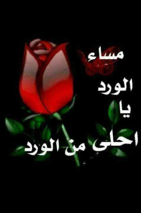 maha8321553's tweet photo. وما أجمل وأرق أن تبقى القلوب على العهد❤️ 
حتى وإن طالت المسافات🌺 مساء الورد والود
والفرح والسرور والهنا للي أحلى من الورود🌺
للغاليين كل المحبه والموده والعافيه❤️🌹❤️ https://t.co/WFs3Man8AF