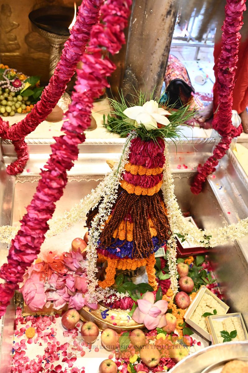 ShriVishwanath's tweet photo. श्री काशी विश्वनाथ जी की मध्यान्ह-भोग आरती I  
#kashi #darshan #kashivishwanath #VishwanathDham #blessings https://t.co/RGHkeTId4v