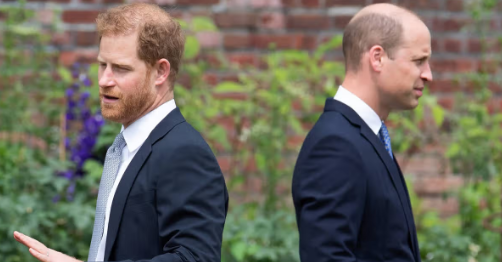 MirrorRoyal's tweet photo. William declines Diana documentary offer to avoid ‘being pitted against’ Harry https://t.co/YP13EI5F6q https://t.co/FSW62Bjftu