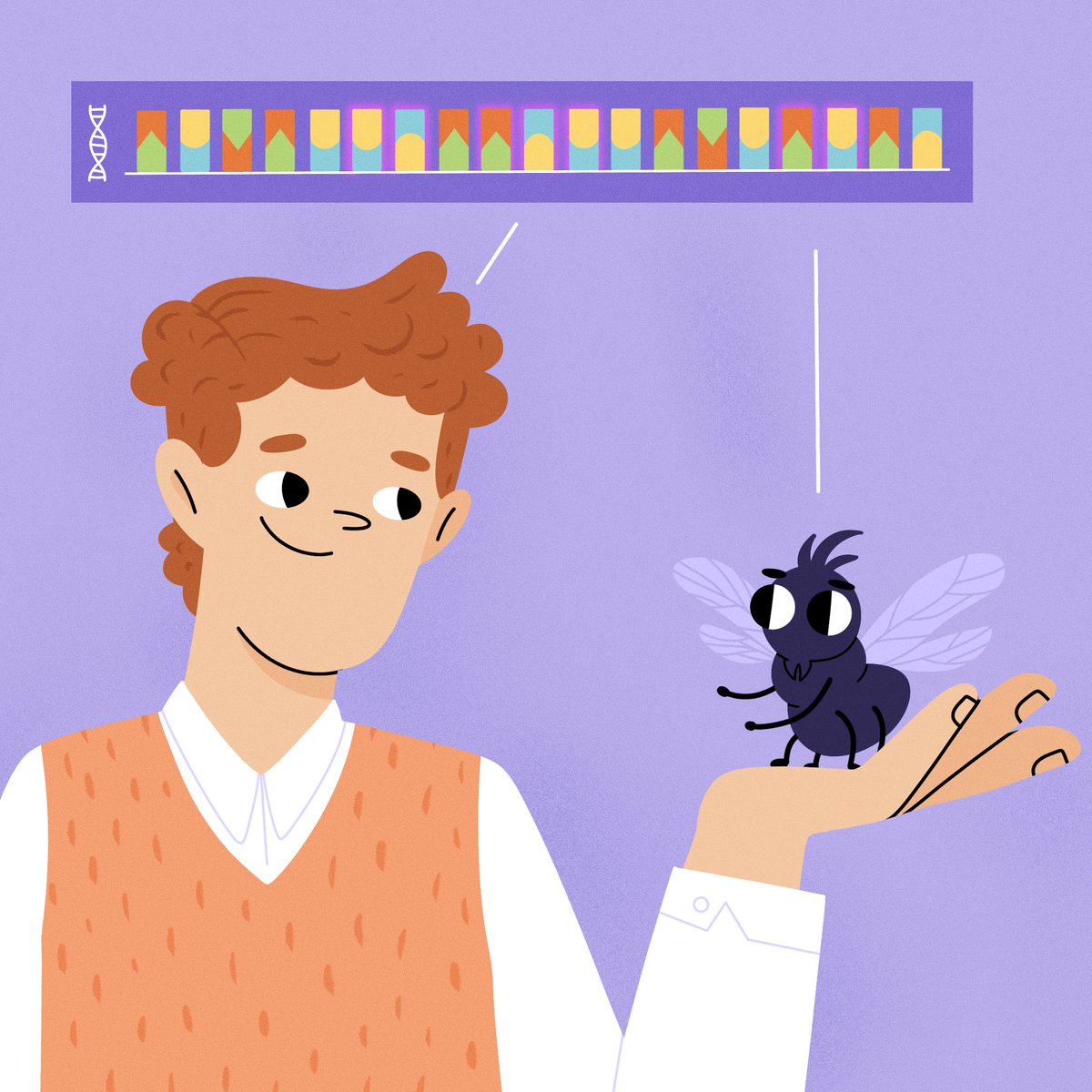 FrontYoungMinds's tweet photo. Did you know fruit flies & zebrafish help scientists study human bodies? 🐟
Meet the tiny model organisms behind big medical discoveries!
https://t.co/tZL2uD8gGO
#modelorganisms #zebrafish #scienceforkids https://t.co/2pbxLE0vOm