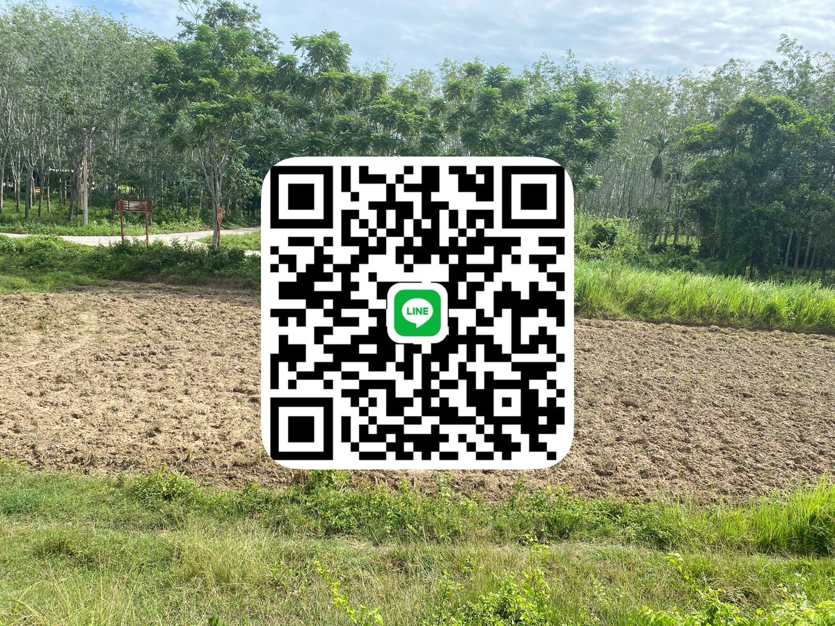 Yayeeb9u9's tweet photo. ว่างนะ #ยะลา #ยะลาสาวแท้ #ยะลาลับๆ https://t.co/yMR4OUysCi
