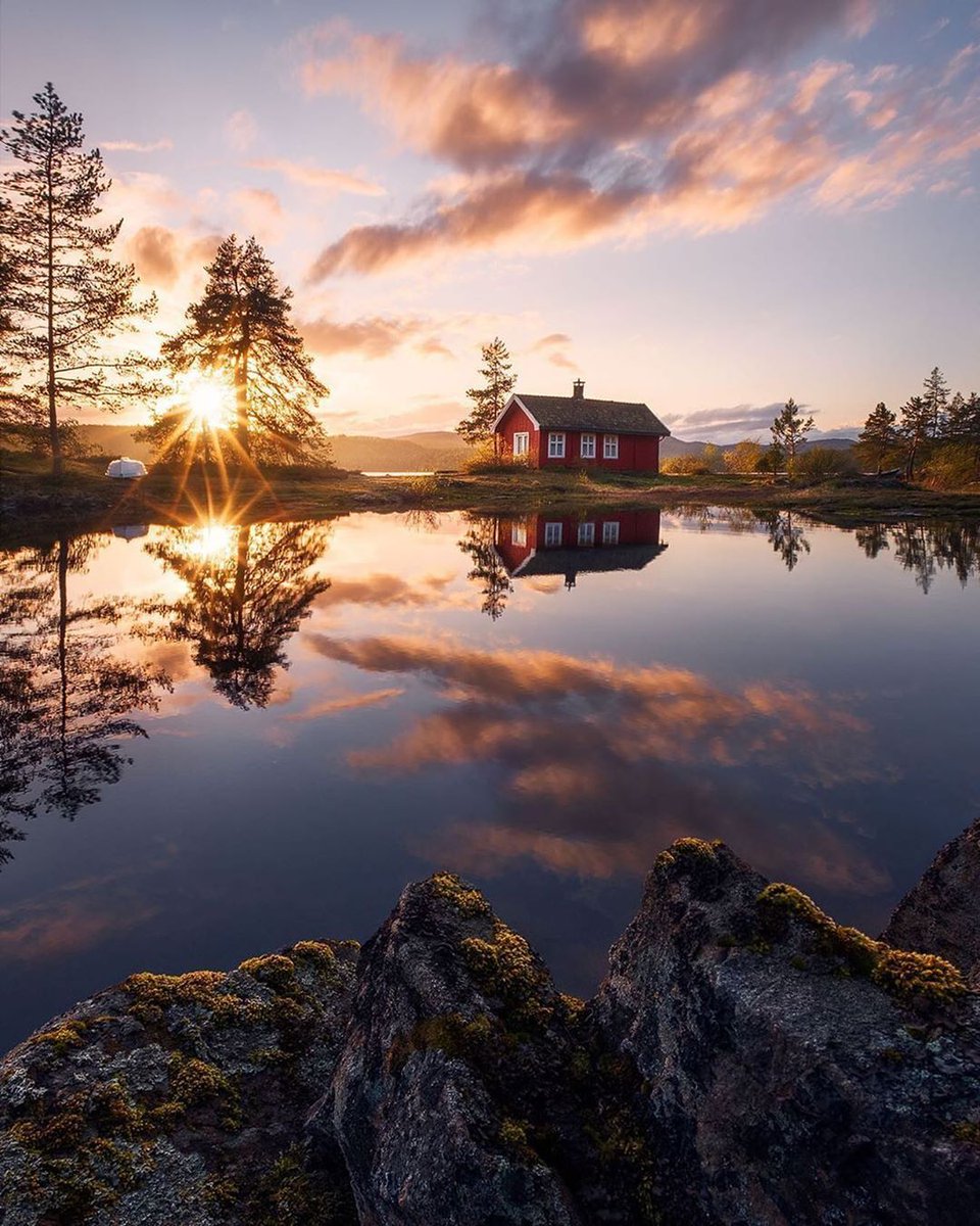 AliOroszu7o's tweet photo. New to photography Start with mastering natural light — it’s free, forgiving, and can turn simple moments into great shots. Try shooting during golden hour (right after sunrise or before sunset) for warm, soft vibes! https://t.co/KHW7ViGJCd