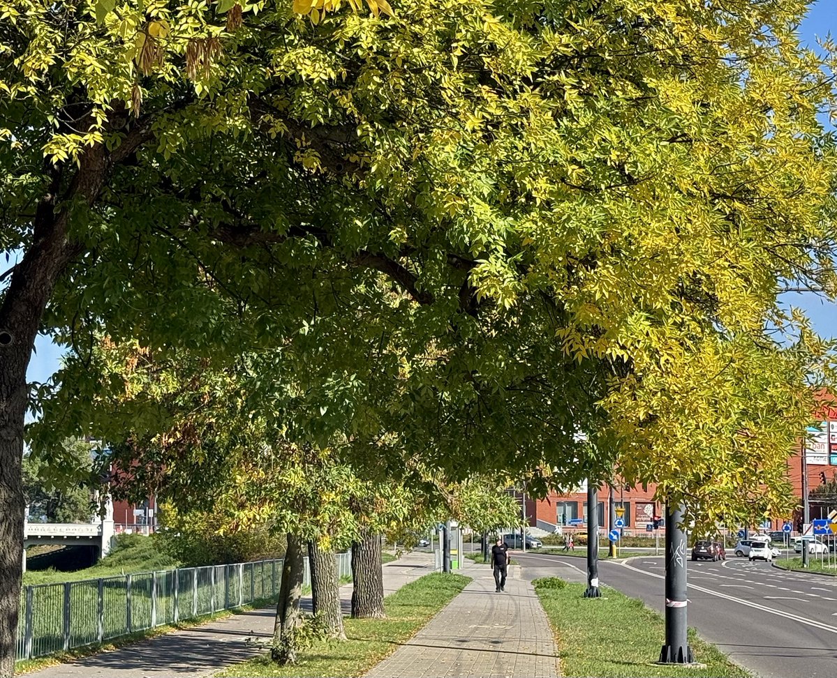 Miasto_Lublin's tweet photo. Dzień dobry, #Lublin ☀️ Przed nami nowy tydzień i nowe wyzwania. Życzymy Wam dobrego poniedziałku i spokojnego startu w kolejne dni. Dobrego tygodnia 😊
#LublinCity #Tydzień #Jesien https://t.co/xSa9GIonxa