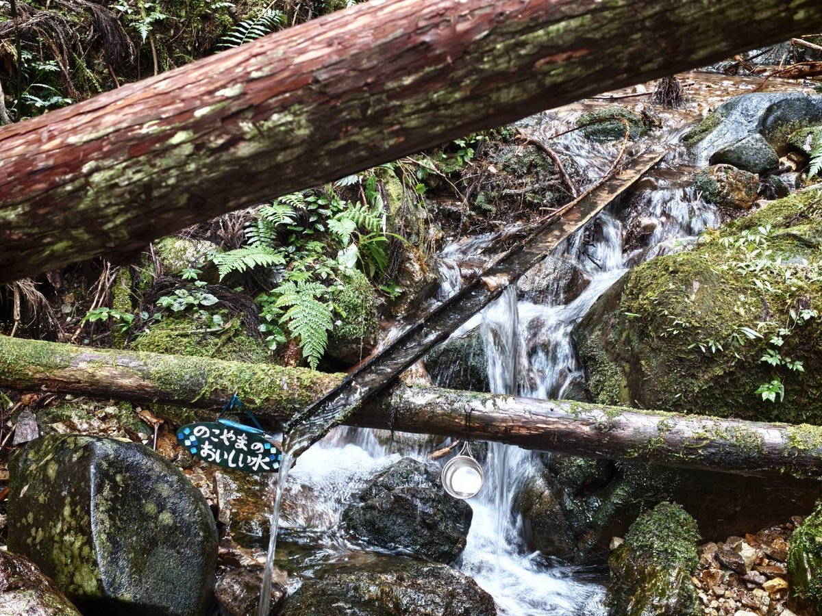 shinseiplanning's tweet photo. ご無沙汰でｺﾞﾏｯｽ！(`･ω･)ﾉ
シルバーウィークは岐阜の納古山へ⛰️
山頂でひまわりの種をポリポリ、エネルギー＆栄養をチャージして無事下山🎒
ポケットでかさばらない、歩きながらつまめる。山歩きのお供にどうぞ🌻

#登山 
#行動食 
#ひまわりの種 https://t.co/SM8OtBbiJz