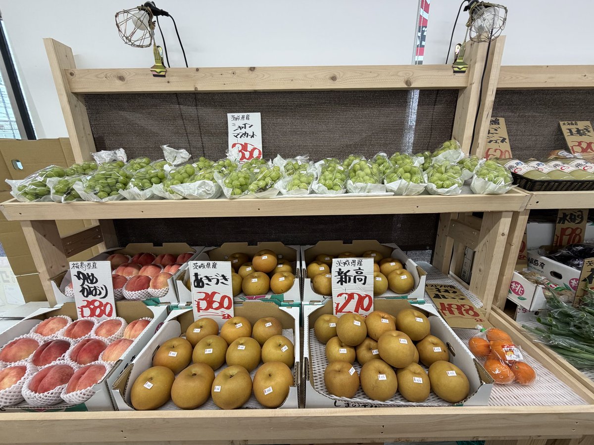 kukizaki711's tweet photo. 茨城茎崎店です。
体調悪いので控えめに…
シャインマスカーーーーーーーーツッ‼️‼️‼️
ALL¥850(税込) https://t.co/yZpFy5ieps