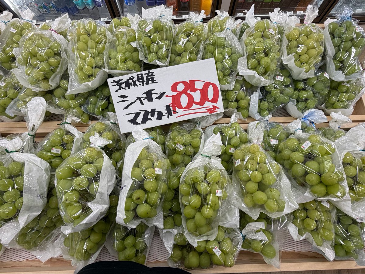 kukizaki711's tweet photo. 茨城茎崎店です。
体調悪いので控えめに…
シャインマスカーーーーーーーーツッ‼️‼️‼️
ALL¥850(税込) https://t.co/yZpFy5ieps