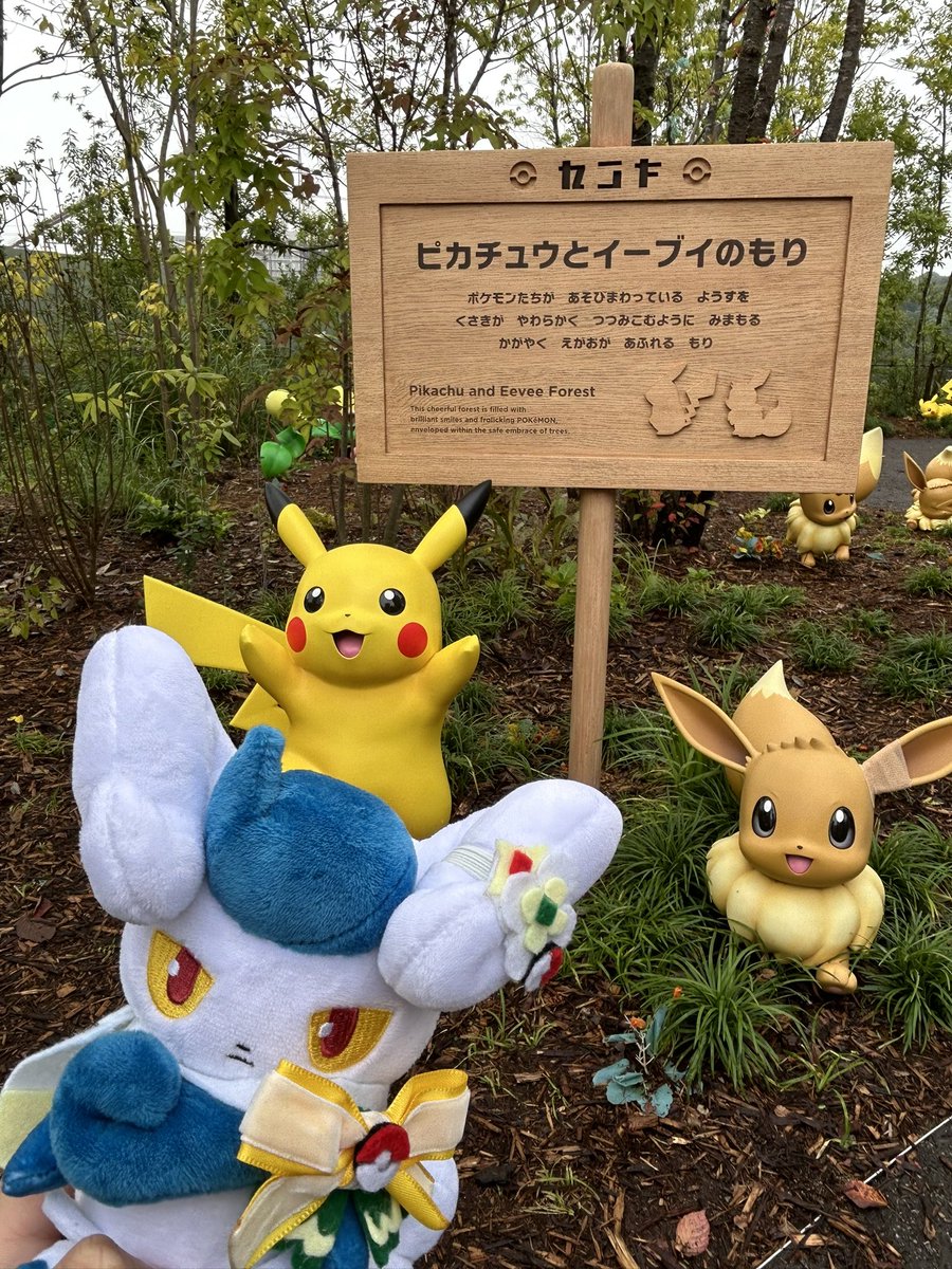 nightleaf_XY's tweet photo. ポケパーク https://t.co/jWxk1BRNwK