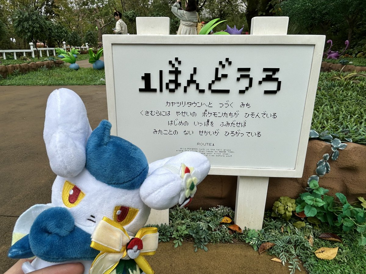 nightleaf_XY's tweet photo. ポケパーク https://t.co/jWxk1BRNwK