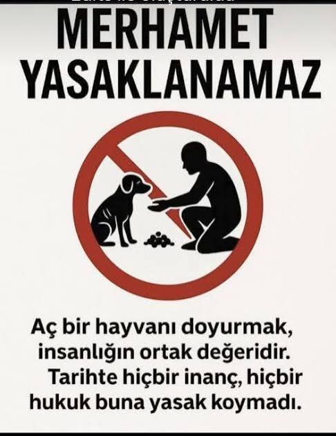 Keyfimin_Keyfi's tweet photo. @CrazyDaisyMls Vicdanı olmayandan merhamet beklenemez.
Bu nedenle YAŞATA YASA 🌱 
#7527İptalEdilsin
#BeslemeYasaklanamaz
#BesleVeYaşat 👈 #BesledimBesliyorumBesleyeceğim https://t.co/AcBZUntItm
