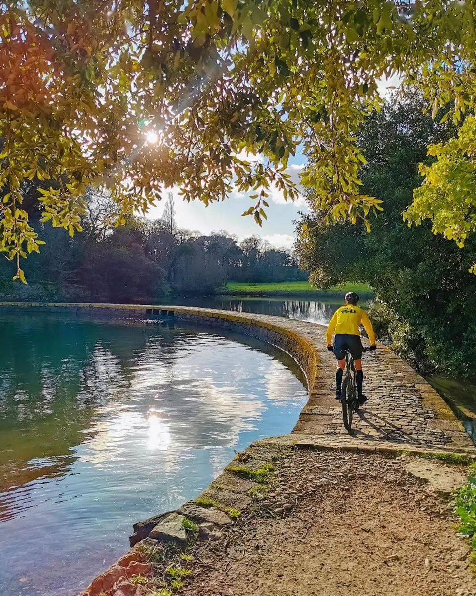 graytam984120's tweet photo. Sunny morning bike ride along the river! Fresh air and cozy vibes make work commute so much nicer today. , https://t.co/dOJsgyAPcs