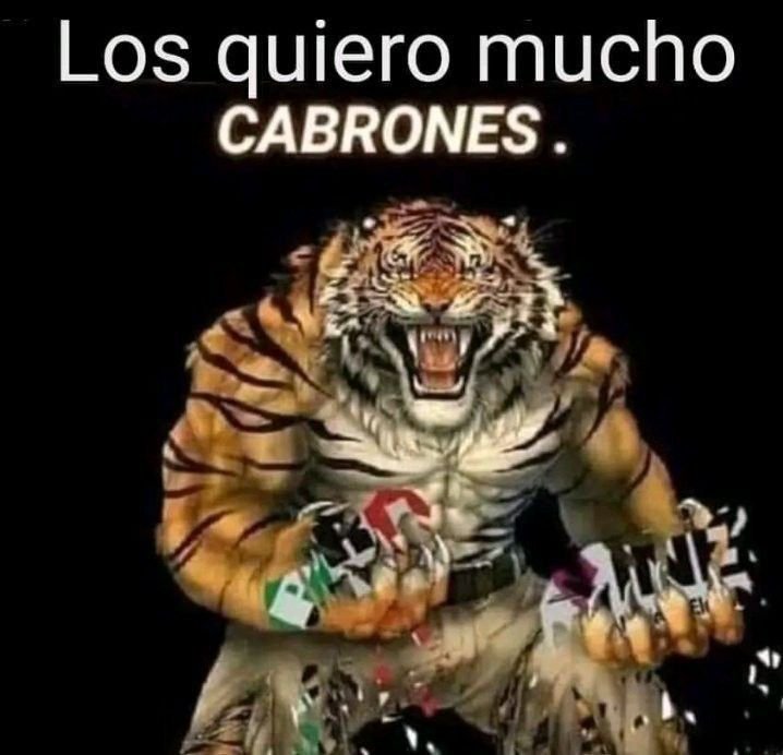 Helliotz's tweet photo. @salmon_Ry @Temmpuraa @Mag_Freddys_34 Trato de mejorar https://t.co/UrowRr2T27