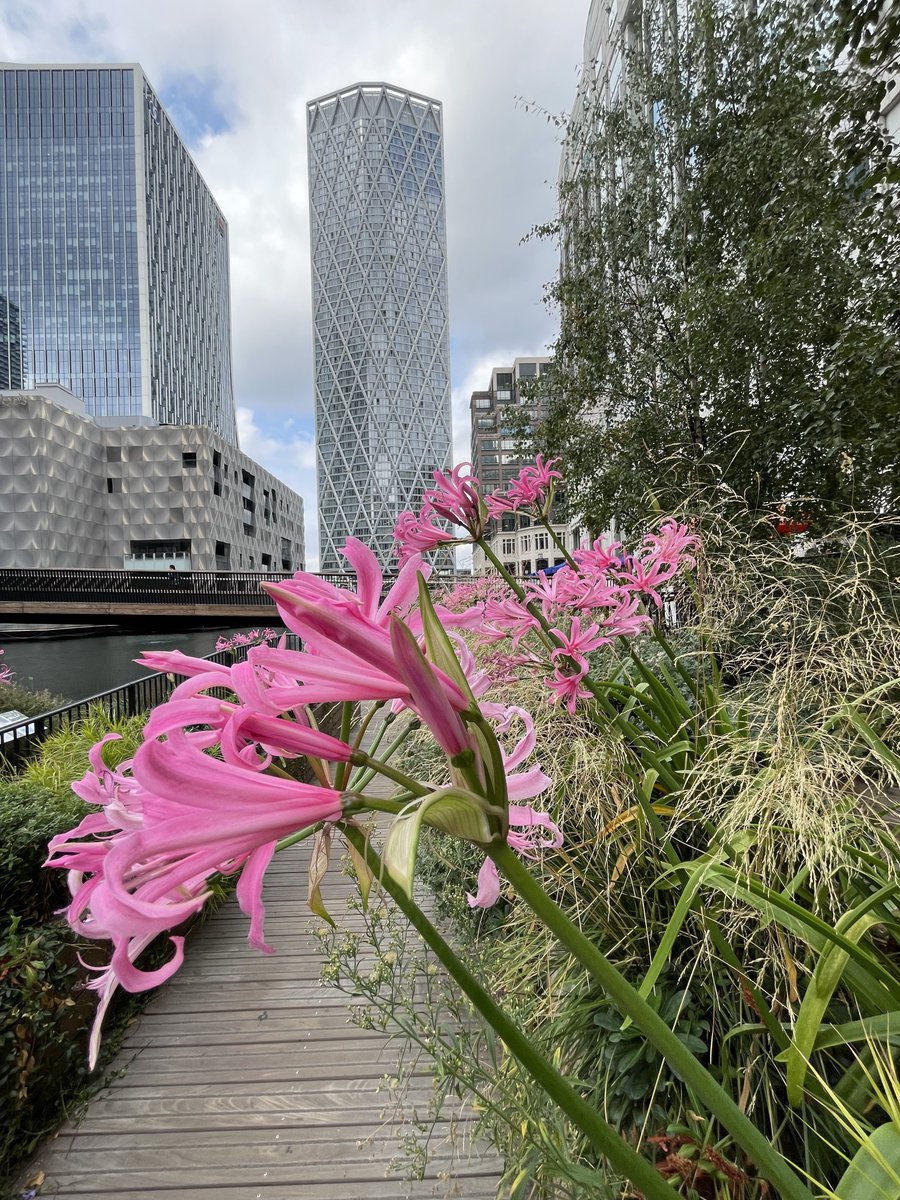huntkevinont's tweet photo. Paid a visit to Canary Wharf. https://t.co/Rl30p5R8JW