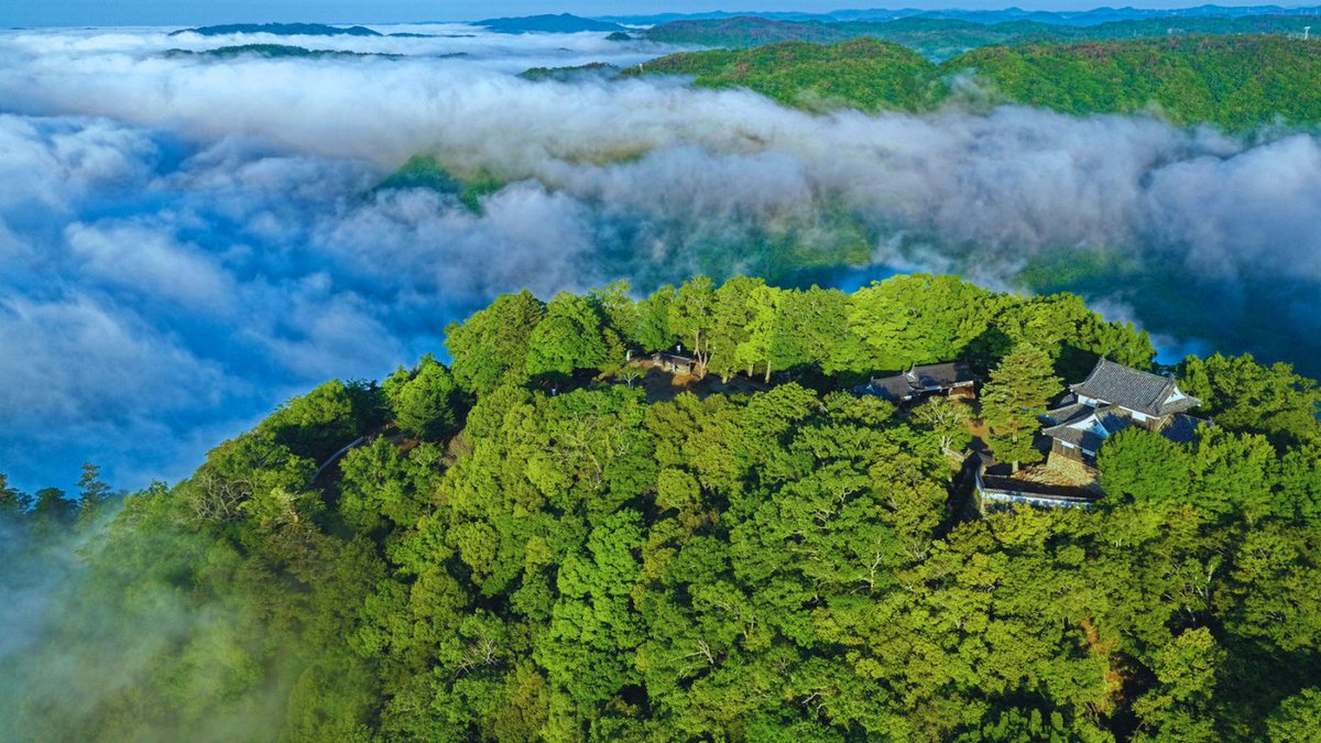 japan's tweet photo. Once protected by the mountain, this castle is now protected by its community. ☁️🏯 Bitchu Matsuyama is Japan’s only mountain castle with an original keep. Locals restored it after years of decay; and later generations continued the work. It now rises above a sea of clouds. ✨ https://t.co/9NmiTnFJn0