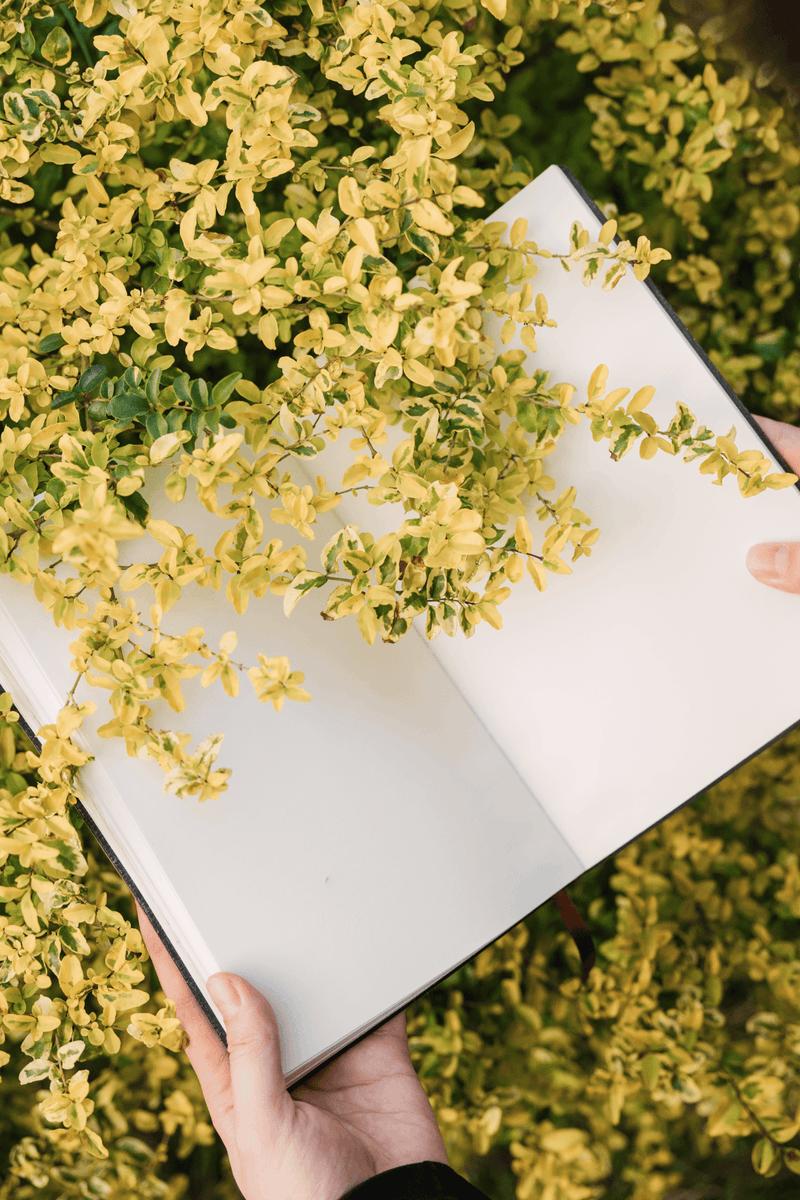 ramkai260645's tweet photo. Just swapped my 9-to-5 desk for a part-time garden plot and a weekly book club. Turns out small, slow joys hit way harder than deadlines. https://t.co/pQHHDnhazU