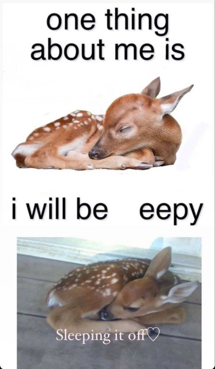 deershouldnt's tweet photo. Goodnight https://t.co/jOccQhz9Qa