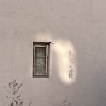 Photo by شاید گودو (@TheGoodooo)