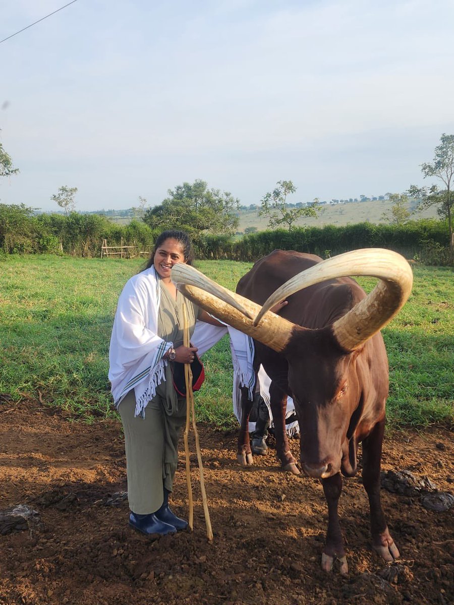 emburara's tweet photo. Happy New Week from the farm! ✨

Mornings are for tradition, culture &amp; fresh milk. 
Book your stay:
☎️+256 776 210 872 / +256 776 200 080
Email; reservations@emburarafarmlodge.com

#lifeonthefarm #heritage #tradition #culturaltourism #emburara https://t.co/ve1jLZyj6a