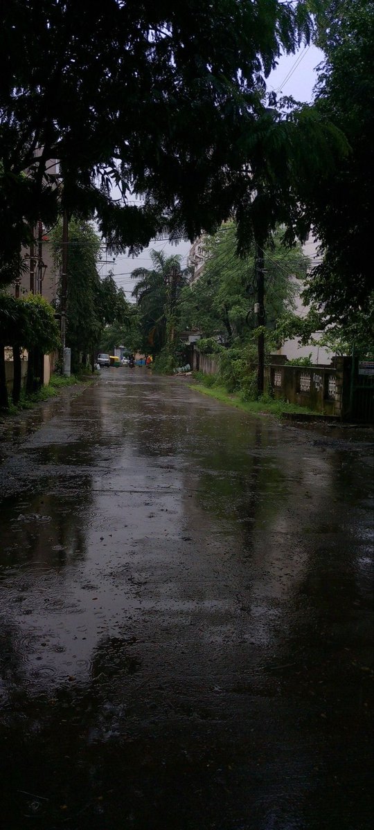 gloomyvisuaIs's tweet photo. rainy days. https://t.co/LMND6iINjO