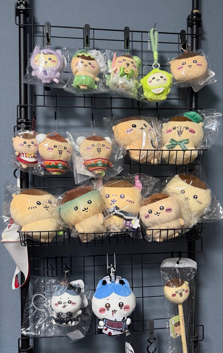 marurinchuchu's tweet photo. うちの子ら可愛すぎん？
くりまんじゅうより可愛い子この世におらん!!!!!! https://t.co/nwRCV82bvM