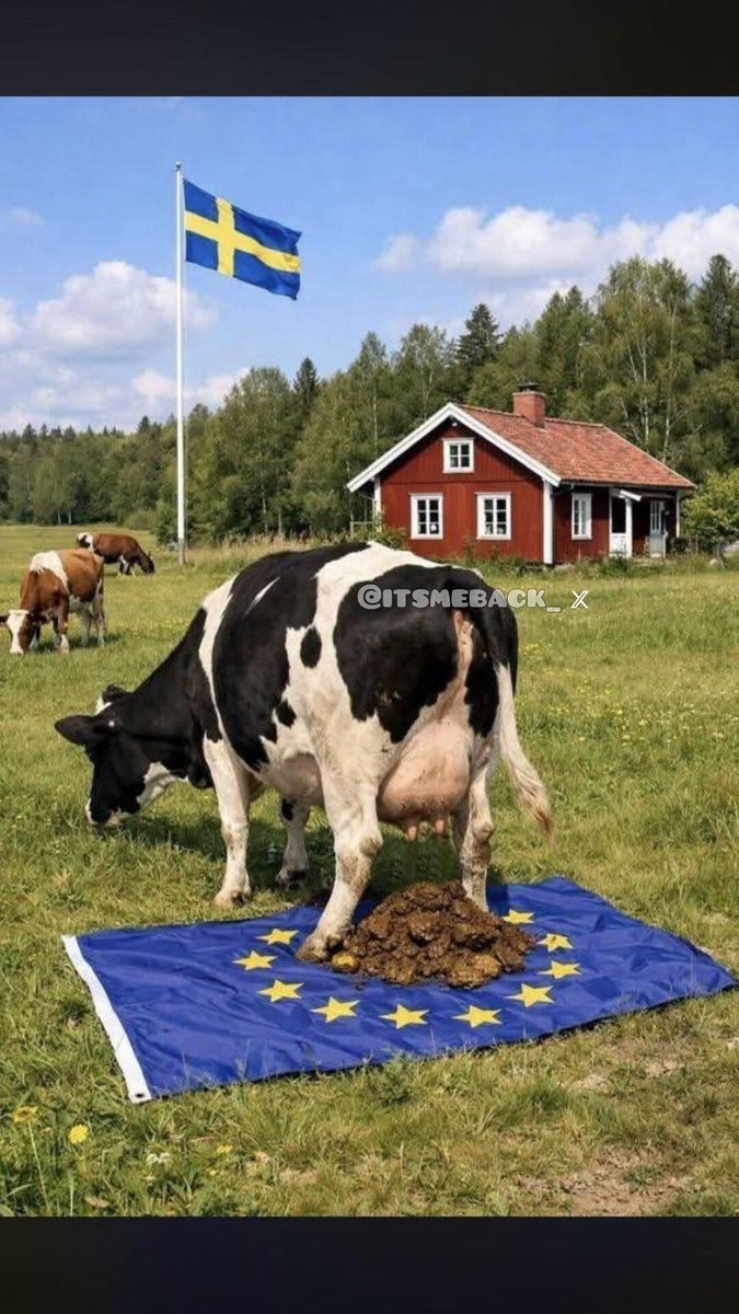GhostOfIvan's tweet photo. Good morning, friends. Let's fuck the EU together https://t.co/3PdJHOXX8W