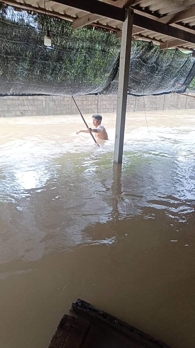 Toeythbrr30's tweet photo. ขอความช่วยเหลือค่ะ ต้องการเรือหรือรถอบยพออกจากบ้าน จำนวน7 ชีวิต มีคนแก่ขาไม่ดี 
บ้านเลขที่ 219 ม.12 เทศบาลทุ่งควายกิน  อ.แกลง จ.ระยอง 🙏🥹
0946386834 แม่
0985821699 พ่อ
#น้ำท่วม
#น้ำท่วมแกลง
#น้ำท่วมระยอง https://t.co/LhDPd5Xwd8