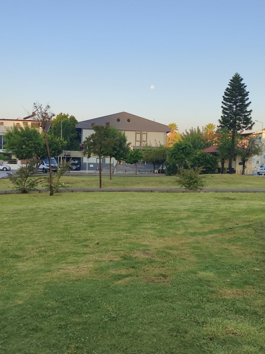 sumeyekskn's tweet photo. 🏠🦅🌕 https://t.co/uF6hCtEJEp