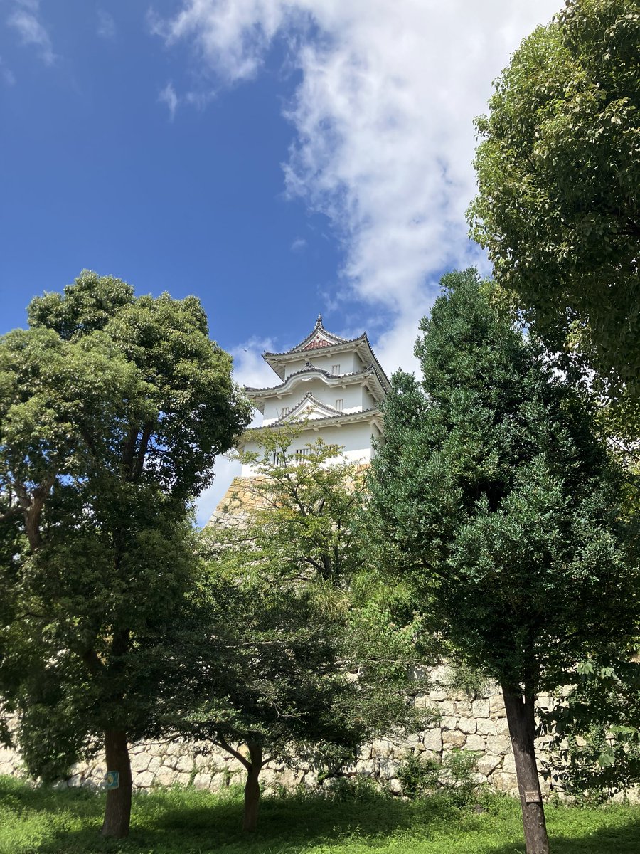 tw_yoshi1129's tweet photo. 仕事引退したらどうなるんだろう...暇すぎる😪
#日本100名城
#続日本100名城
明石城🏯
開始4日目で、8/200（達成率4%） https://t.co/kpoCFPVfV8