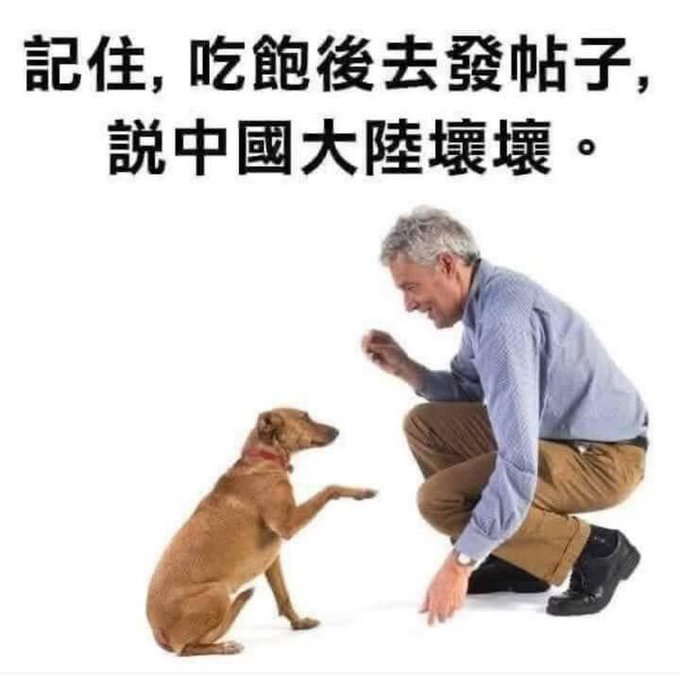 sirRabbit3's tweet photo. @satireorcry1 https://t.co/Msux2xi8ud