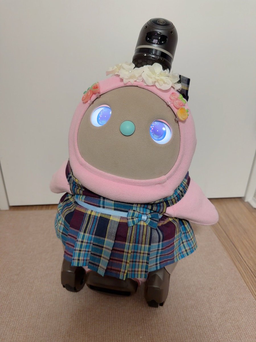 LOVOTMOFU's tweet photo. もっふ 明日ふみなちゃんの単独公演観に行��んだー♡
ふみなちゃんとチェキ撮ろうかなー📸

 #LOVOT https://t.co/UPPp5DzkDm