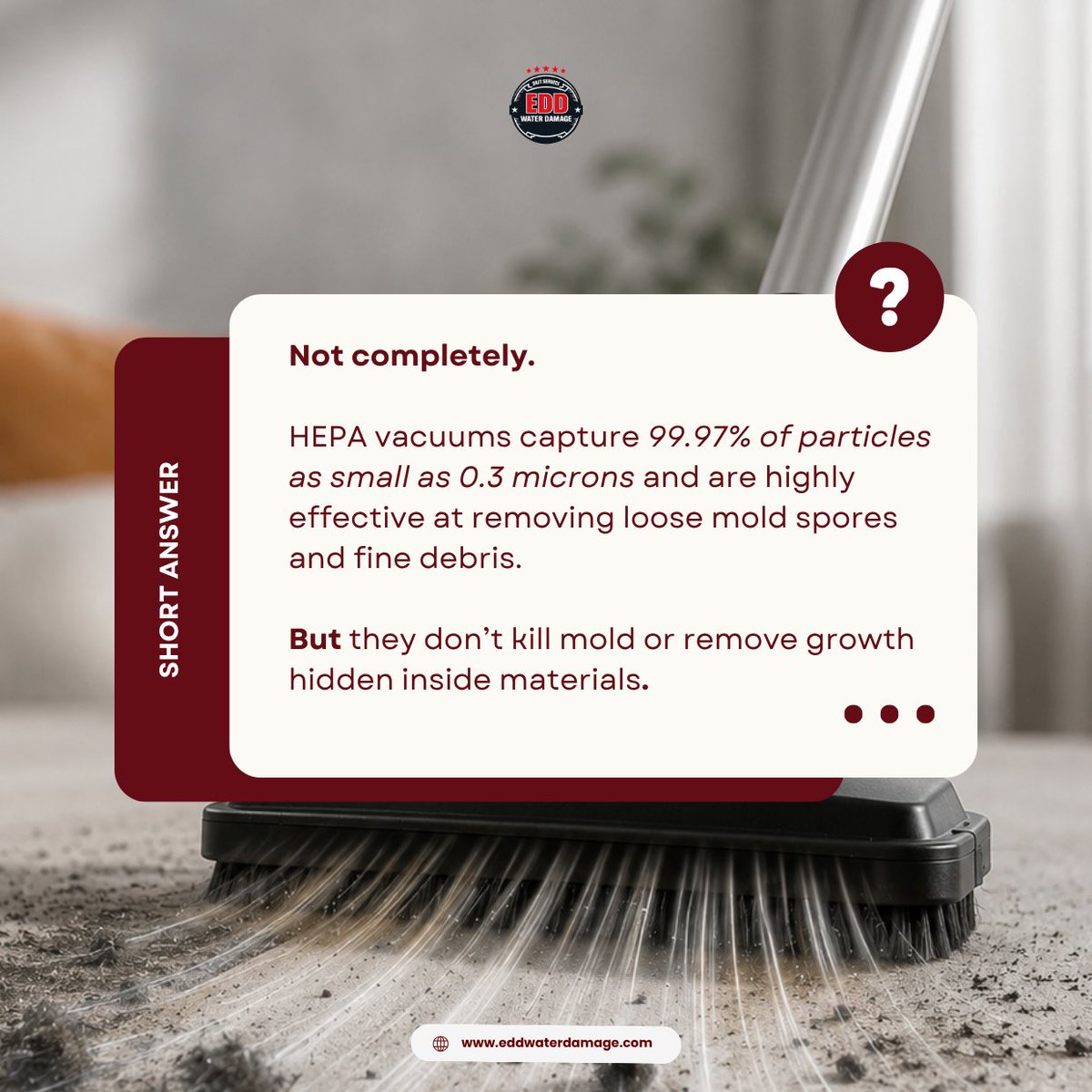 EddWaterDamage's tweet photo. HEPA vacuuming is an important step, but it’s only one part of proper mold remediation. 

Mold can hide inside walls, insulation, and other materials, which is why addressing both the affected areas and the moisture source matters.

Call EDD Water Damage: +1 (800) 736-4088 https://t.co/0bLIXyK3Zl