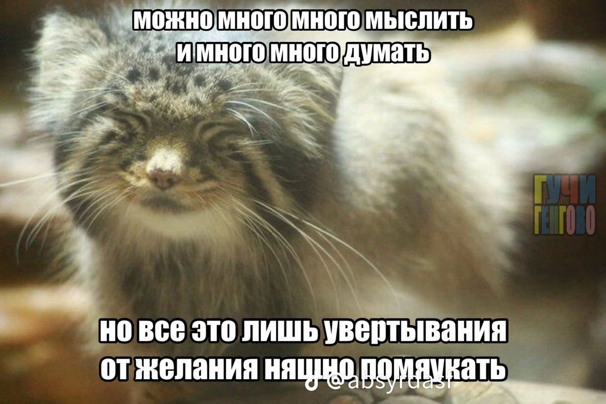 chinchilla356's tweet photo. правет кароче виходные были супер вчера вечером пришёл xbox360 который я купиу что бы играть с любимостью в приставку там ещё и кинект что бы пригать бегать вместе, ето тупа потрясающе ,мой зайчик приготовил прост очумительные кексы ,она у меня супер повар да и ваще самая лучшая https://t.co/09OE9IdSpT