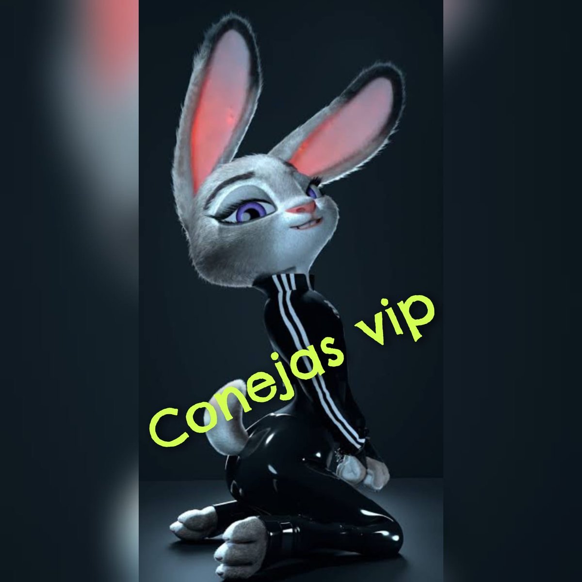 YarPalutib's tweet photo. *CONEJITAS SEXYS Y DE TODOS LOS PERFILES🥵*

🩷🐇https://t.co/zlP9L10PEX

💙🐰
https://t.co/JGsYmQ6Kv6

💚🐇
https://t.co/vZG3kdgwlj

❤️👯🏻https://t.co/1ZmD5SsSYu https://t.co/nN7s1SU0y9