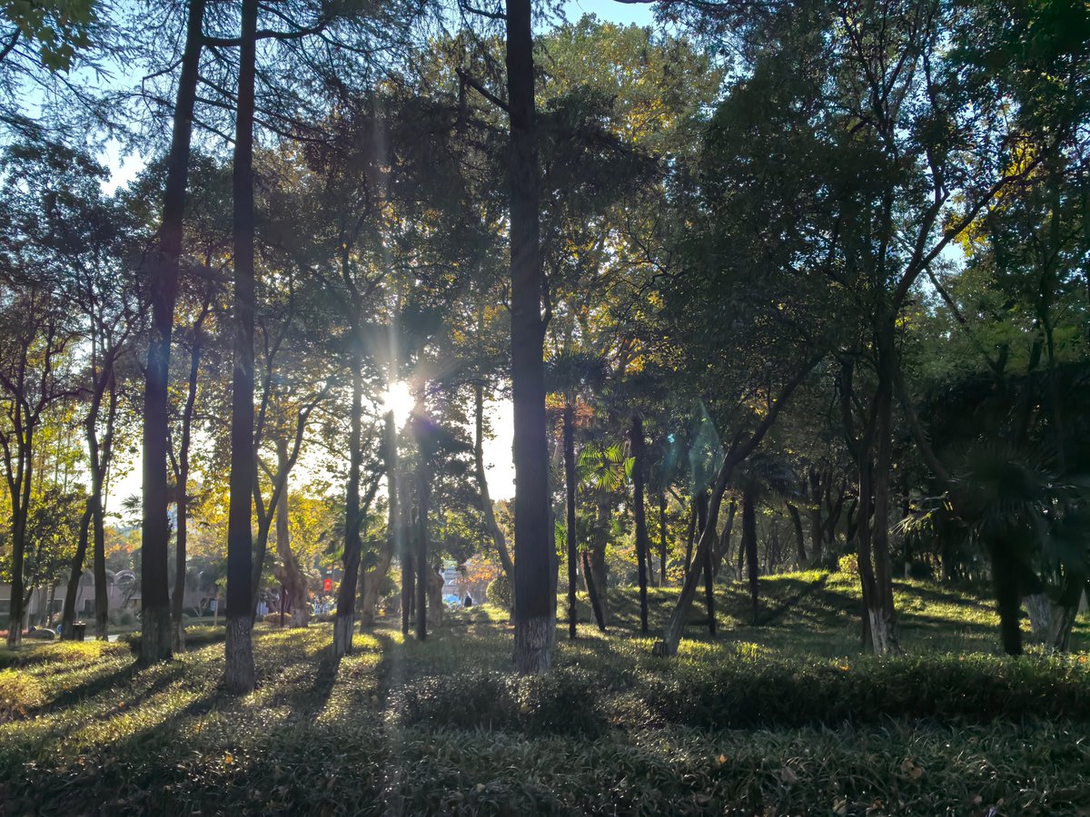 AlizaKeywan's tweet photo. Consejo básico para principiantes de foto: usa luz natural de maana o atardecer, hace que tus fotos se vean más cálidas y naturales! https://t.co/sHJtou7ZpZ