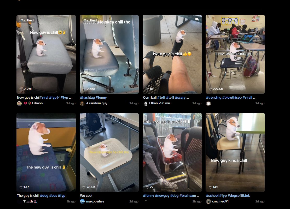 ticaonsol's tweet photo. Found the 2026 version of Chillguy.

Right now theres a meme spreading on tiktok called 
"New guy kinda chill".

The entire meme is that its just a chill dog just chilling.

all the videos are from the last 2 days + dex at 20k.

https://t.co/eNJONjX273 https://t.co/3jyWHJ8ip6