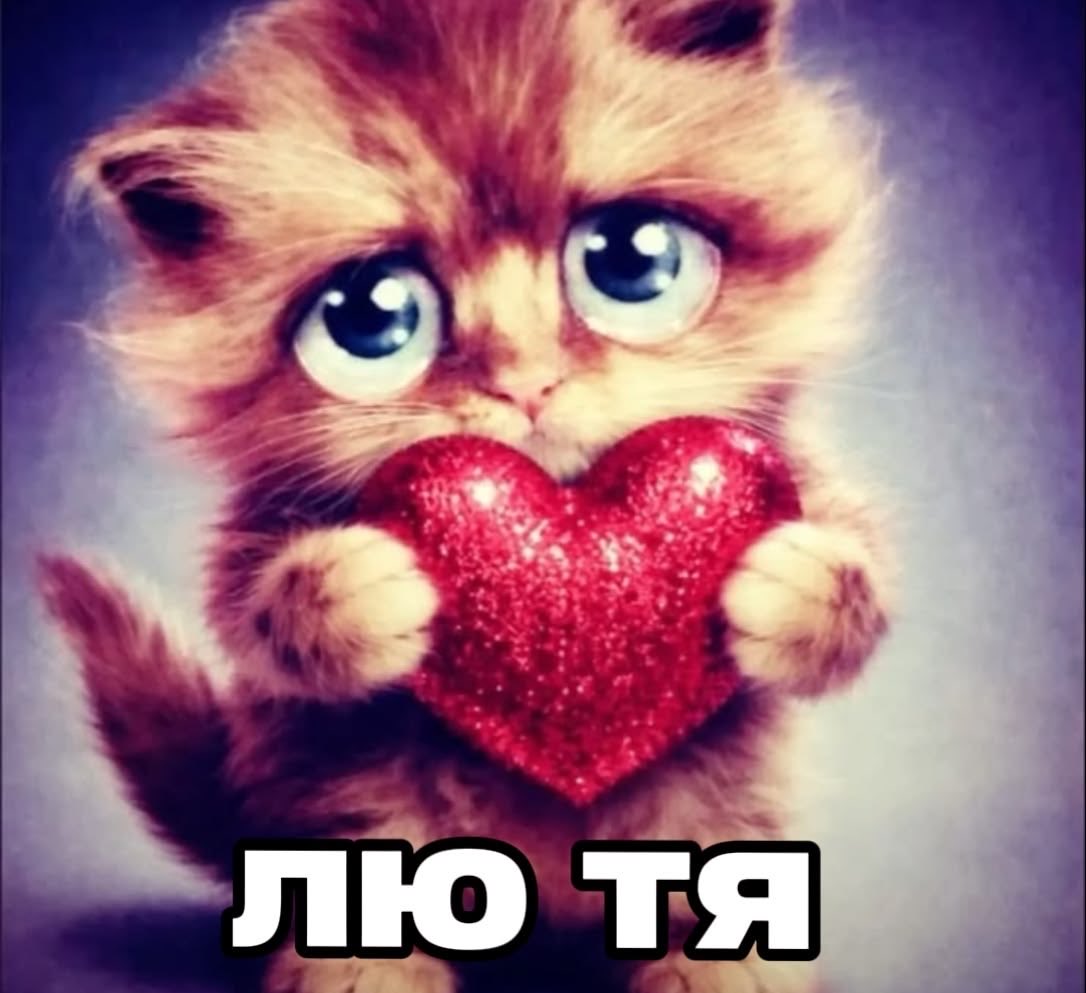 kfofskksdo's tweet photo. @Lizzy_ii0 https://t.co/MzKSCsW7w4