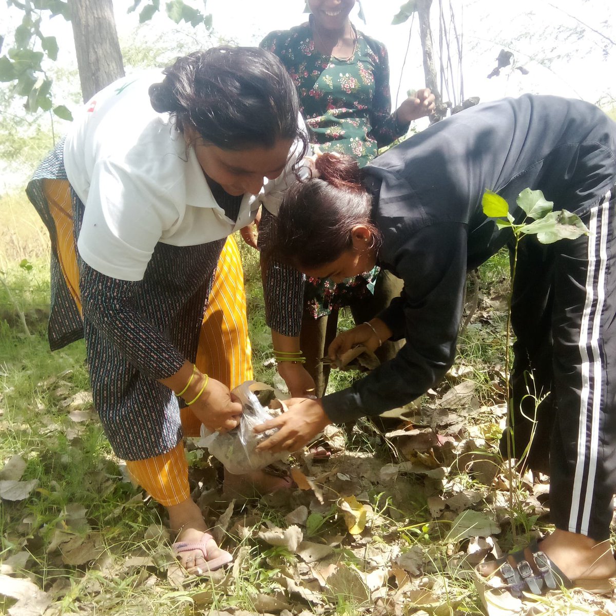 UP_MYBAligarh's tweet photo. Different Activities under Seva pakhwada program @MYBharatHQ @mybharat_up #NashaMuktYuva https://t.co/ACLJorMFjz