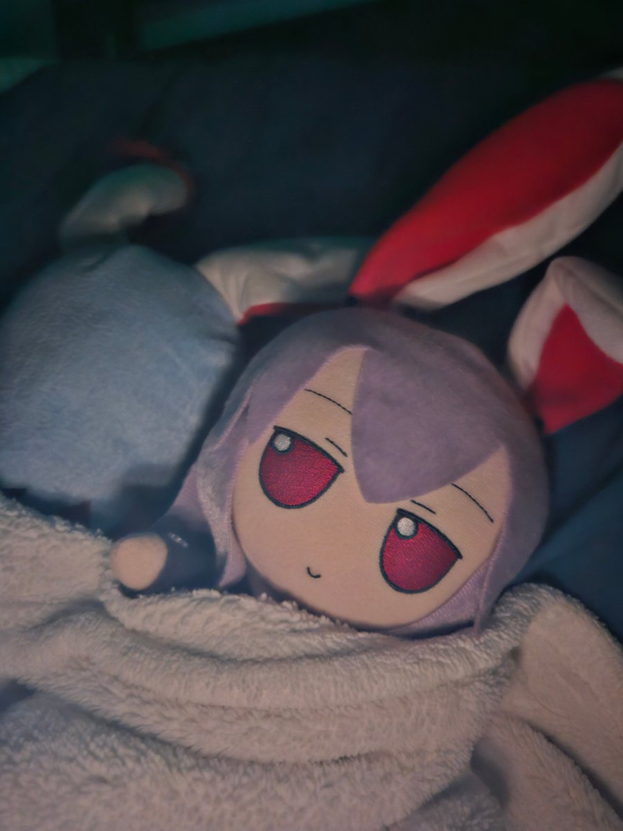 FreshMojaveMeme's tweet photo. Good night oomfies 🎑🐰💤 https://t.co/XhBpoCYIld