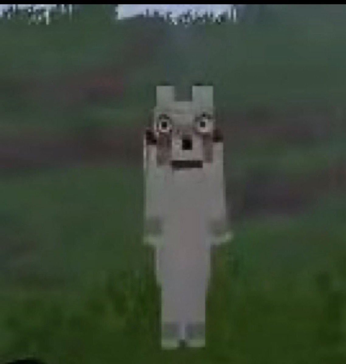 t0xicr0ss's tweet photo. How it felt smoking way too weed and going on a one mile hike in the middle of the night while barely conscious https://t.co/sPMvdcjlm7