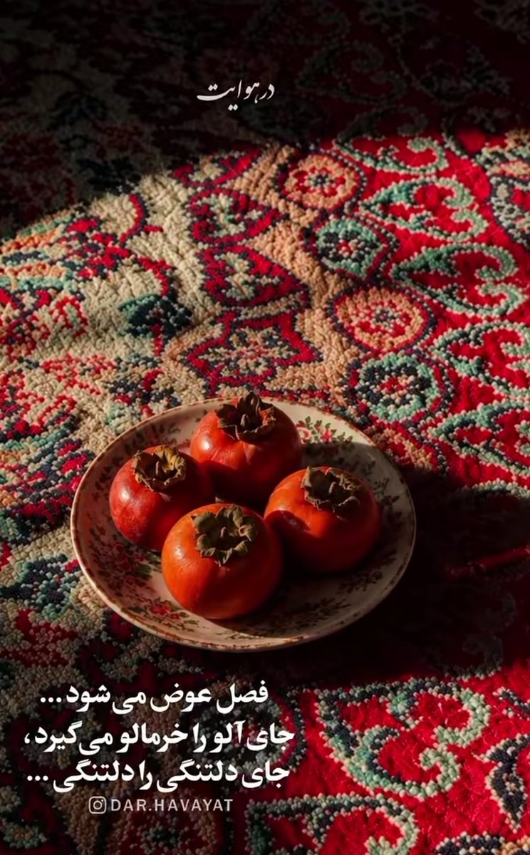NiloofarDmy's tweet photo. روزتون مهدوی💚🌙 https://t.co/WB21Ag5oXD
